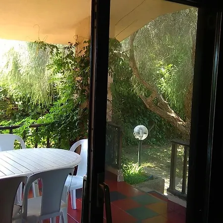 Exclusive Sardinian 300 Mt From The *