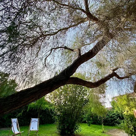 Villa Exclusive Sardinian 300 Mt From The Àrbatax