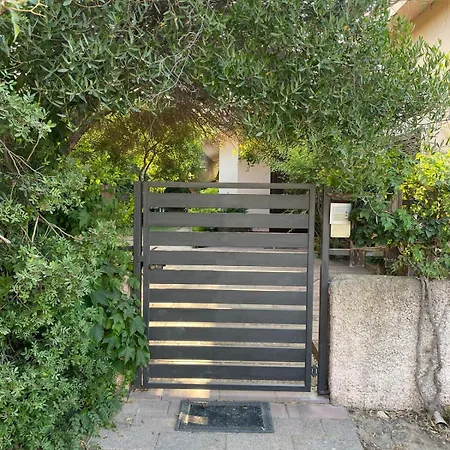 Exclusive Sardinian 300 Mt From The